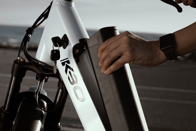 Giant e-bike